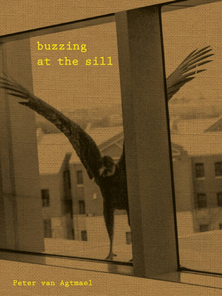 Peter van Agtmael: Buzzing at the Sill - Bookshop Peter van Agtmael: Buzzing at the Sill - Bookshop