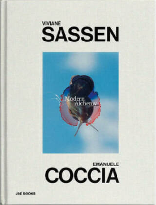  Viviane Sassen: In and Out of Fashion: 9783791348285: Cotton,  Charlotte, Van Den Berg, Nadia: Books
