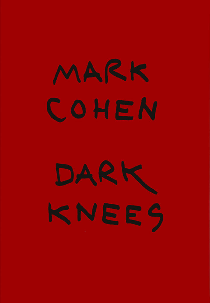ショッピングを 新品 絶版 レア Mark Cohen Dark Knees マークコーエン