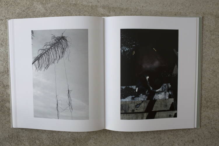 Viviane Sassen: Pikin Slee - Bookshop Anzenberger Gallery