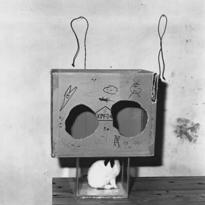 Roger Ballen: Shadow Chamber (signed) - Bookshop Anzenberger Gallery