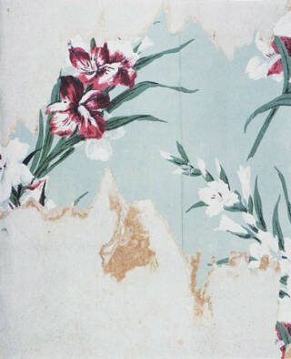 アート・デザイン・音楽 Looking for Love 1996 Alec Soth アート・デザイン・音楽 Looking for Love 1996 Alec Soth アート